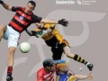 Cork GAA Yearbook 2012