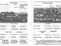 1993 Duhallow Junior Football Final