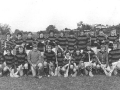 1979 Championship Winners