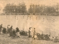 The Opening of the field 1955