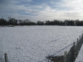 Field full of snow