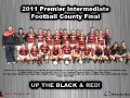 2011 County Final Poster